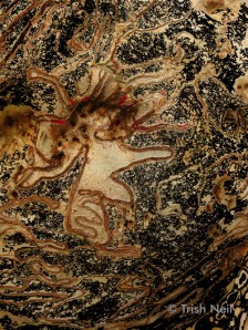 fools-and-innocents-11